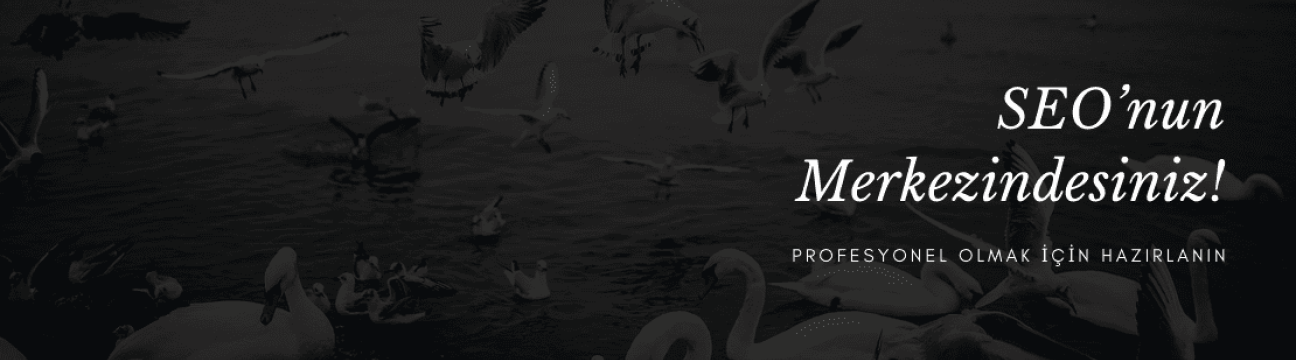 G&uuml;venilir Backlink Merkezi